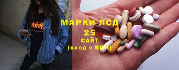 гидра Бородино