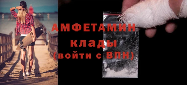гидра Бородино