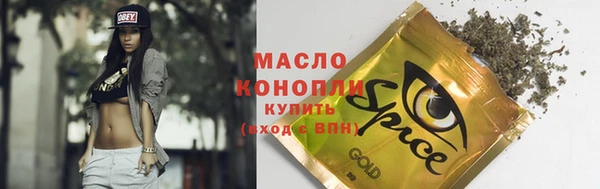 гидра Бородино