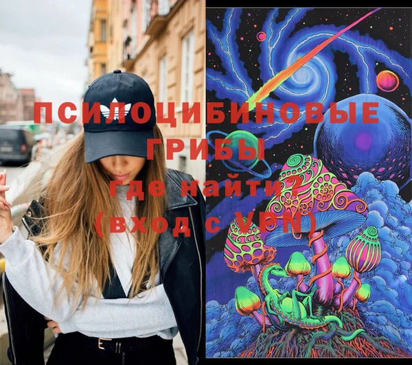 гидра Бородино