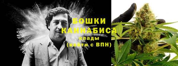 гидра Бородино