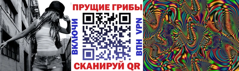 Галлюциногенные грибы Cubensis наркошоп Малаховка